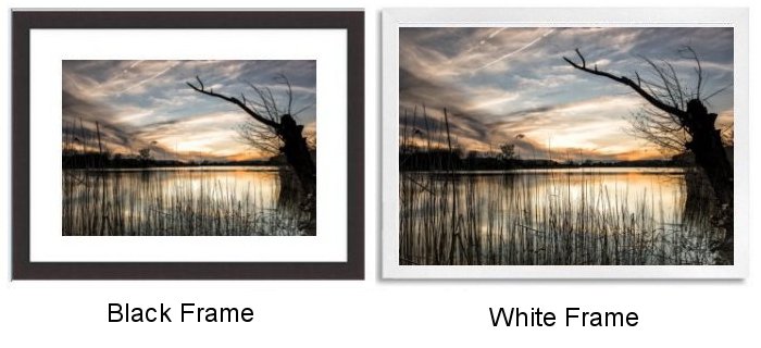 Select Your Frame